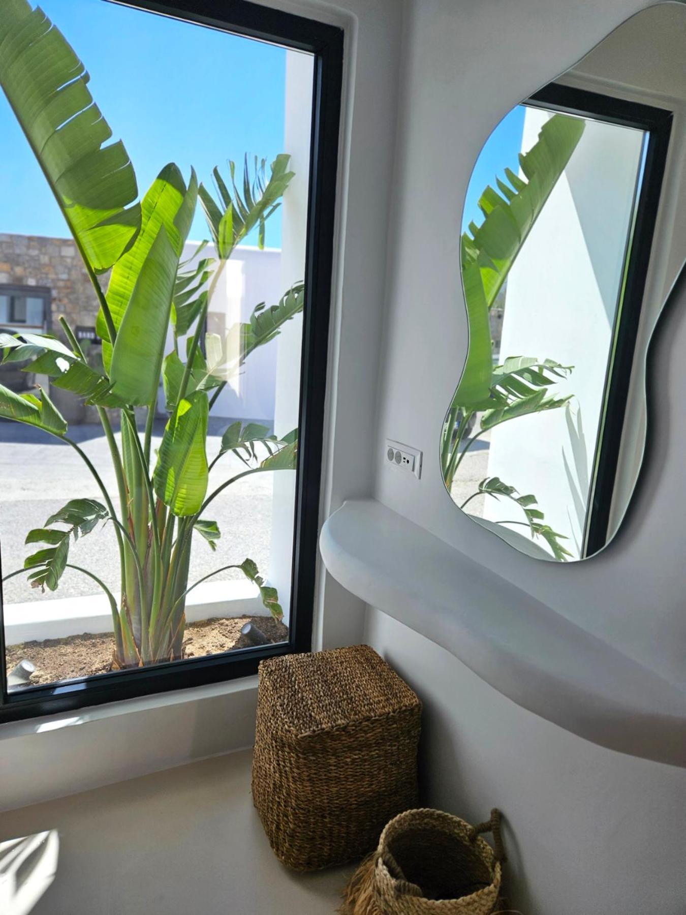 Elli Tropical Suites Mykonos Town エクステリア 写真