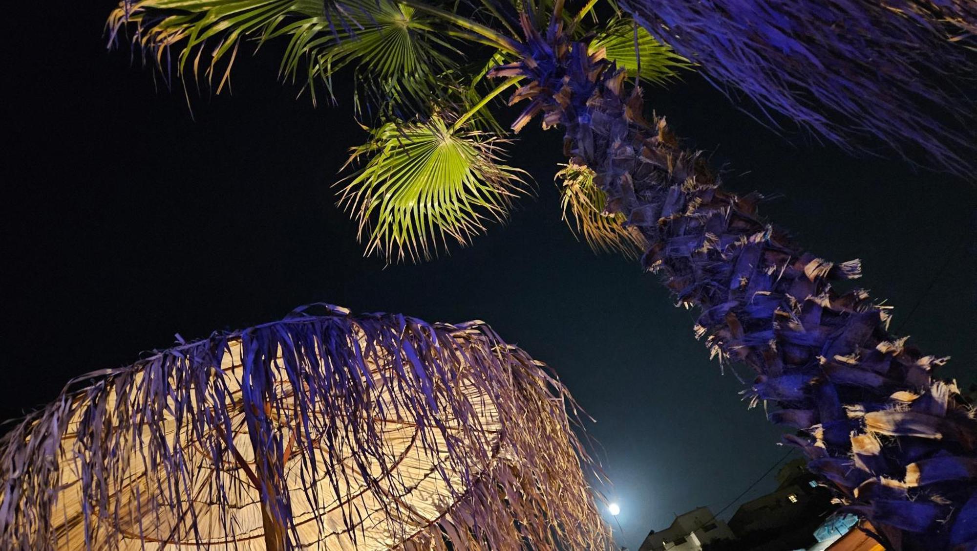 Elli Tropical Suites Mykonos Town エクステリア 写真