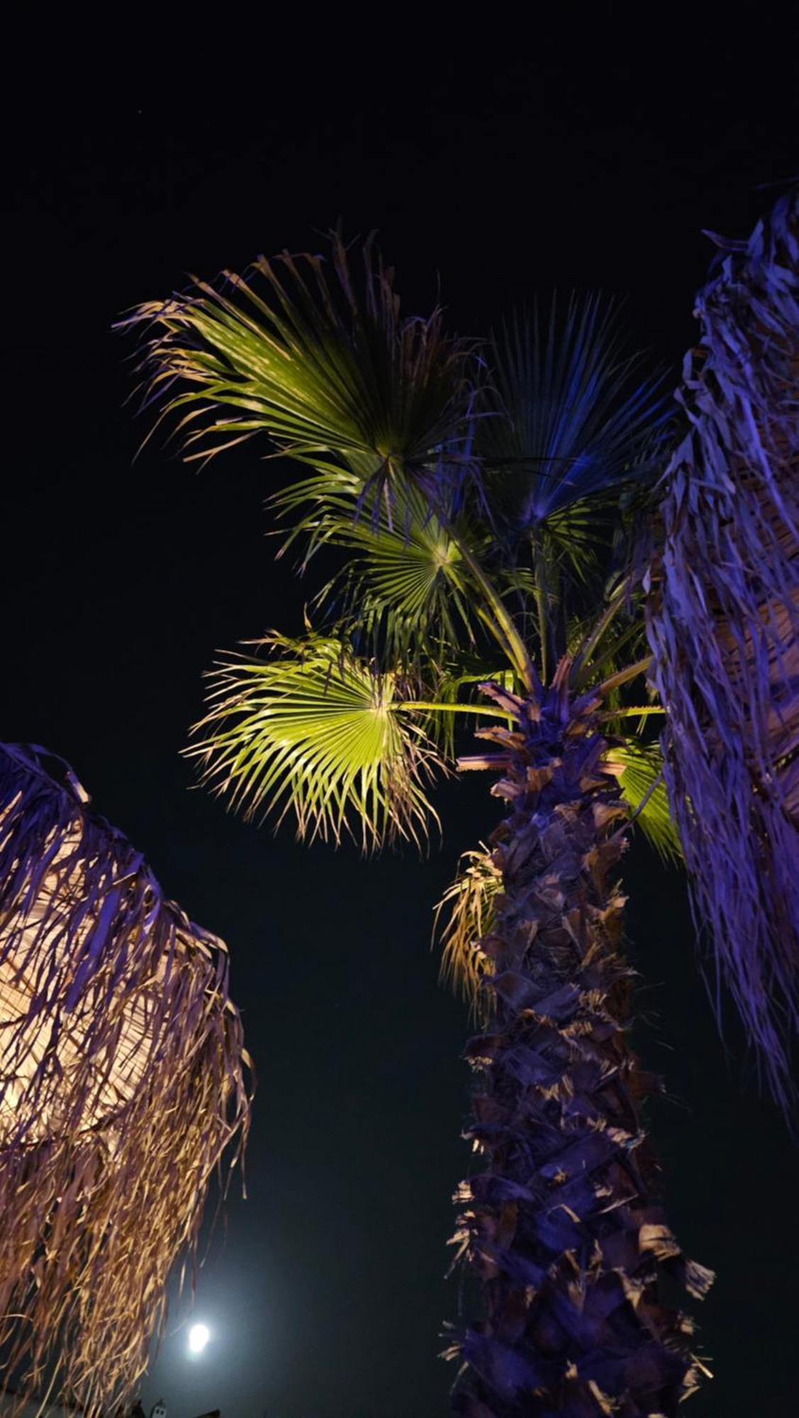 Elli Tropical Suites Mykonos Town エクステリア 写真