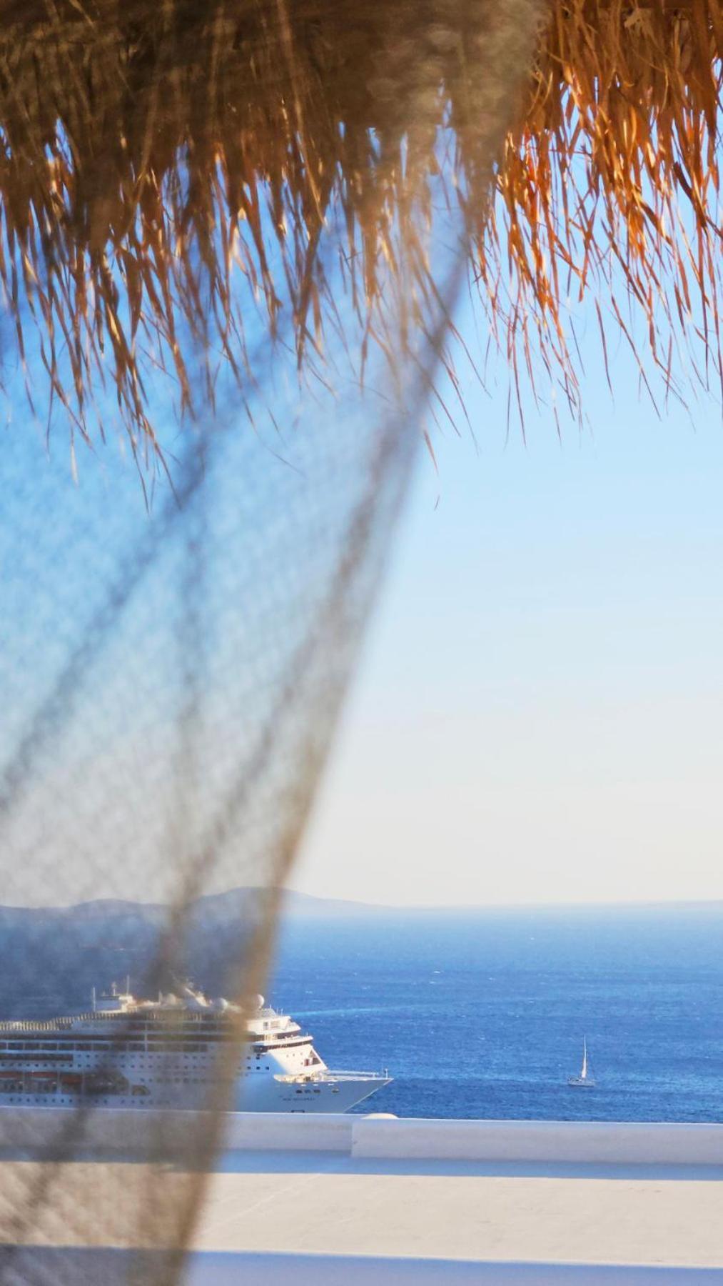 Elli Tropical Suites Mykonos Town エクステリア 写真