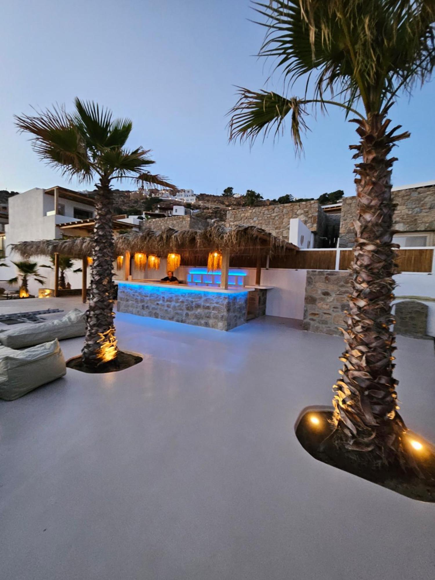 Elli Tropical Suites Mykonos Town エクステリア 写真
