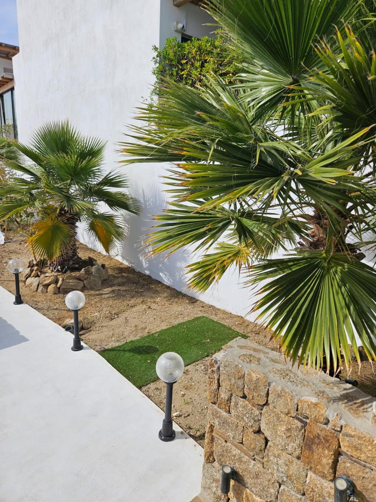 Elli Tropical Suites Mykonos Town エクステリア 写真